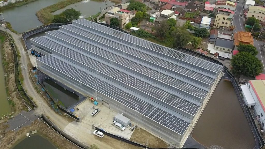 Sunny Rich Is Building the World’s Largest Greenhouse SPF Non-Toxic Aquaculture Park