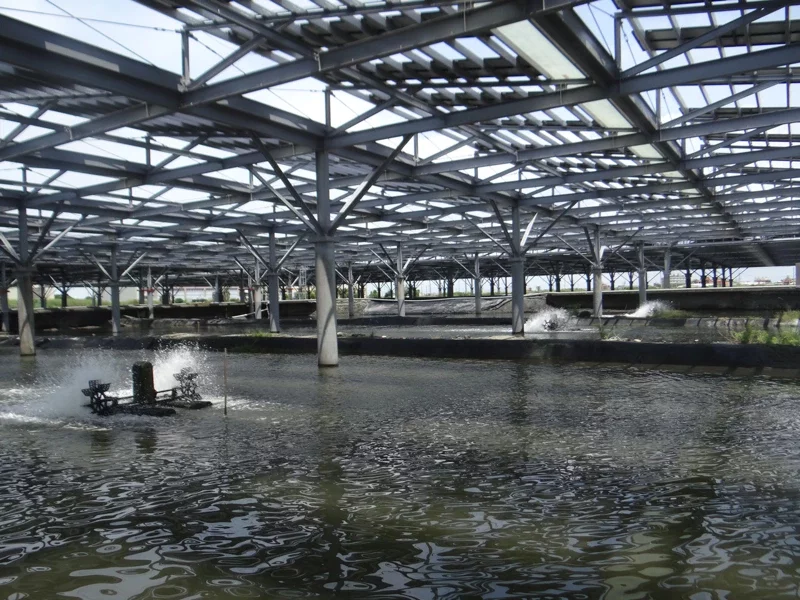 Covering Solar Panels Over Fish Farms Can Block Cold Waves and Strong Winds